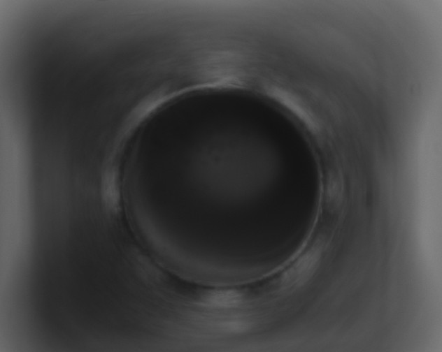 X0000101681455200807101411