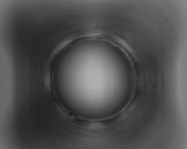 X0000101681456200807101411