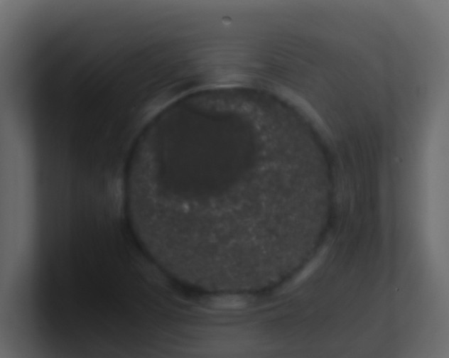 X0000101681457200807101411