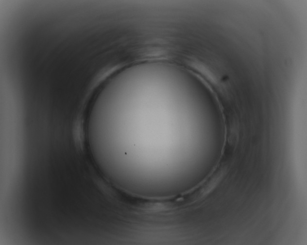 X0000101681458200807101411