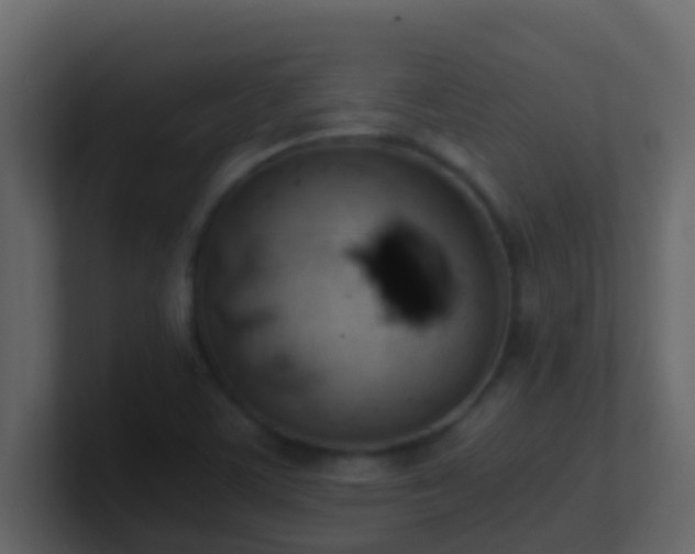 X0000101681459200807101411