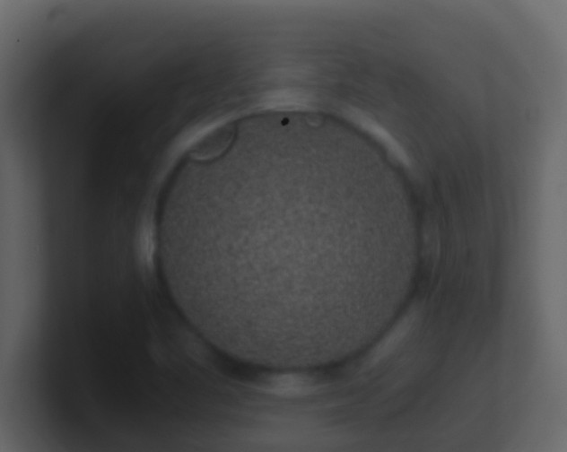 X0000101681461200807101411