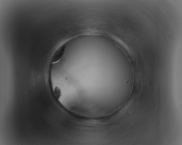 X0000101681463200807101411