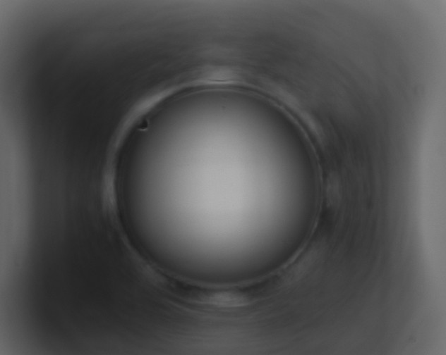 X0000101681464200807101411