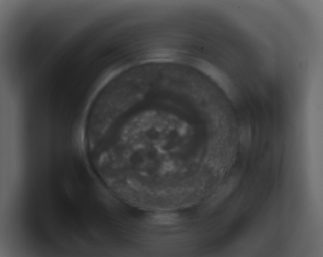 X0000101681466200807101411