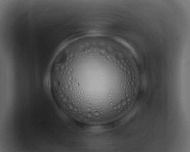 X0000101681467200807101411