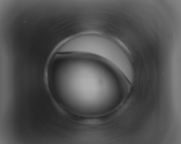 X0000101681468200807101411