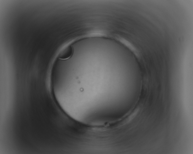 X0000101681469200807101411