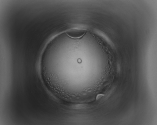 X0000101681471200807101411