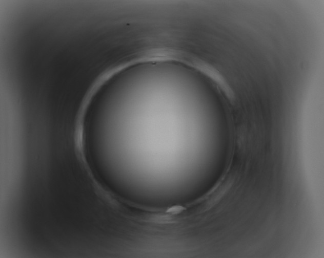 X0000101681472200807101411