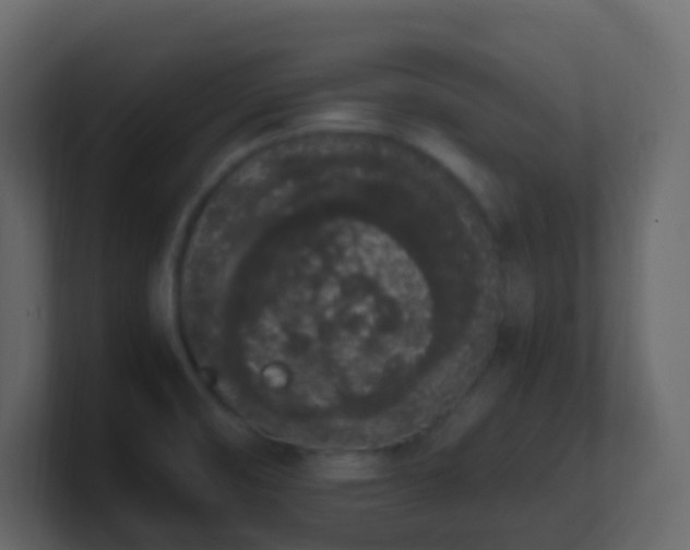 X0000101681474200807101411