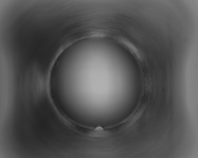 X0000101681475200807101411