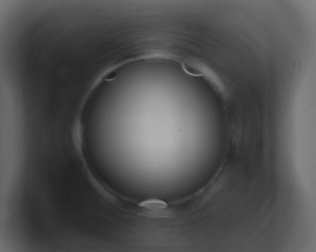 X0000101681476200807101411