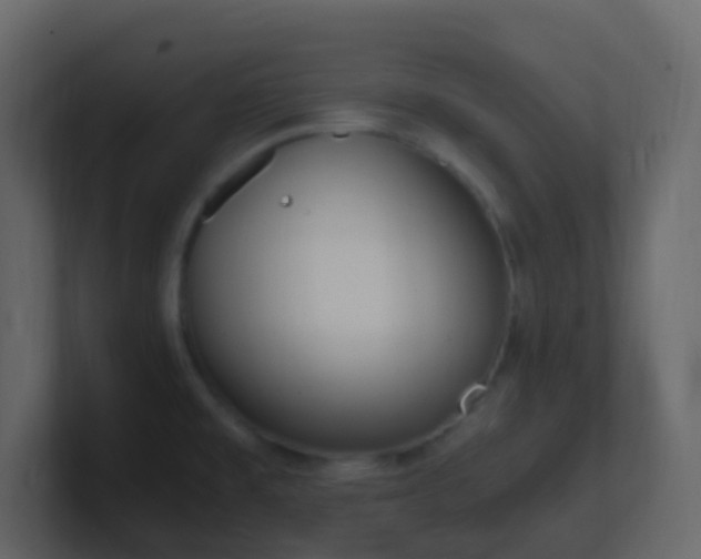 X0000101681477200807101411