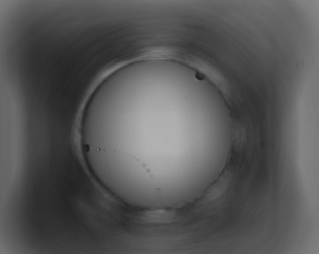 X0000101681478200807101411