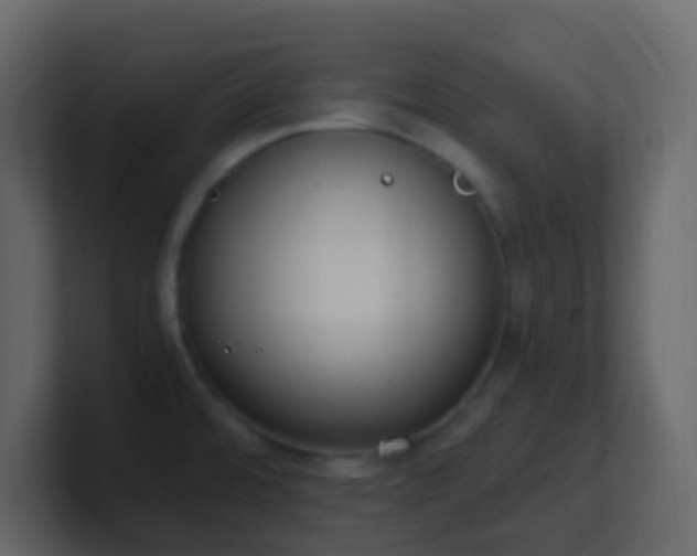 X0000101681480200807101411