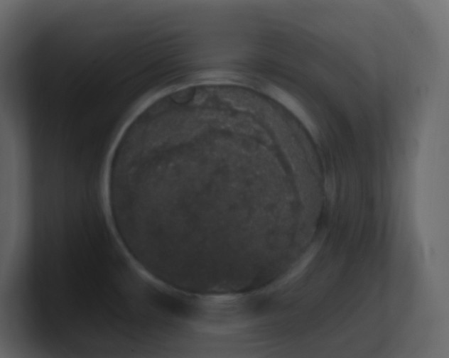 X0000101681482200807101411