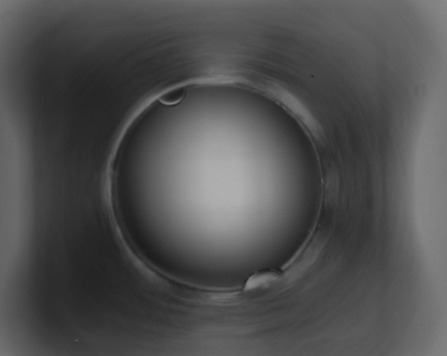 X0000101681484200807101411