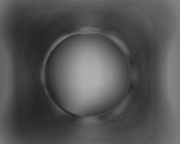 X0000101681486200807101411