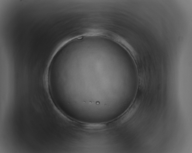 X0000101681487200807101411