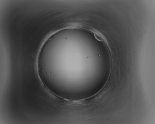 X0000101681488200807101411