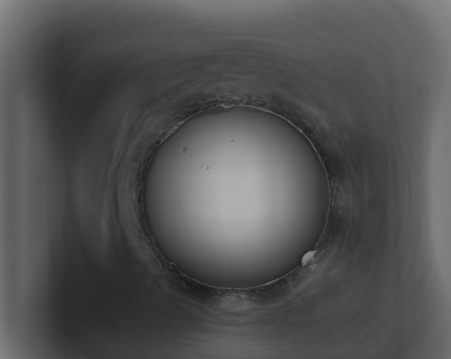 X0000101681489200807101410