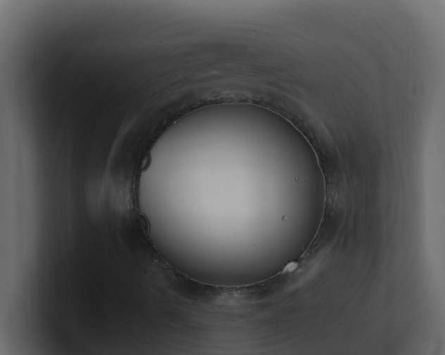 X0000101681490200807101410