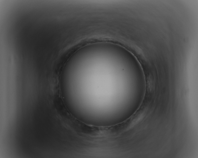 X0000101681494200807101410