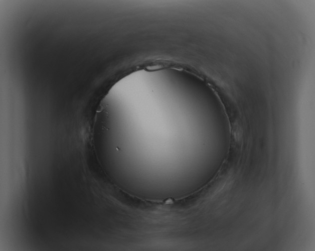 X0000101681495200807101410