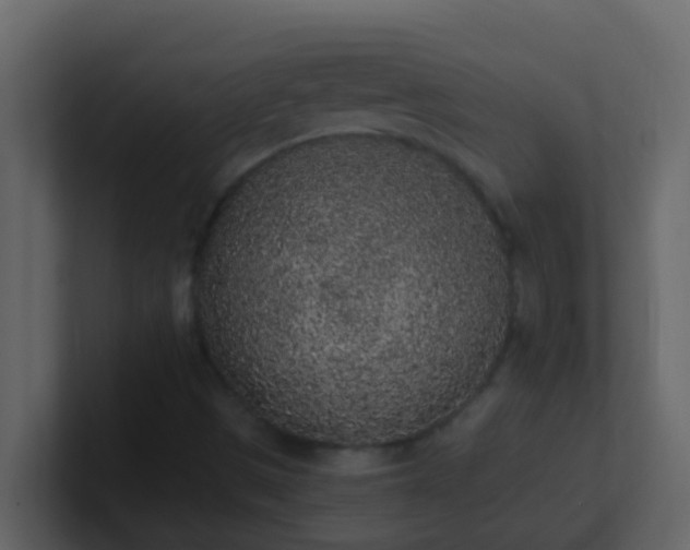 X0000101681497200807101410