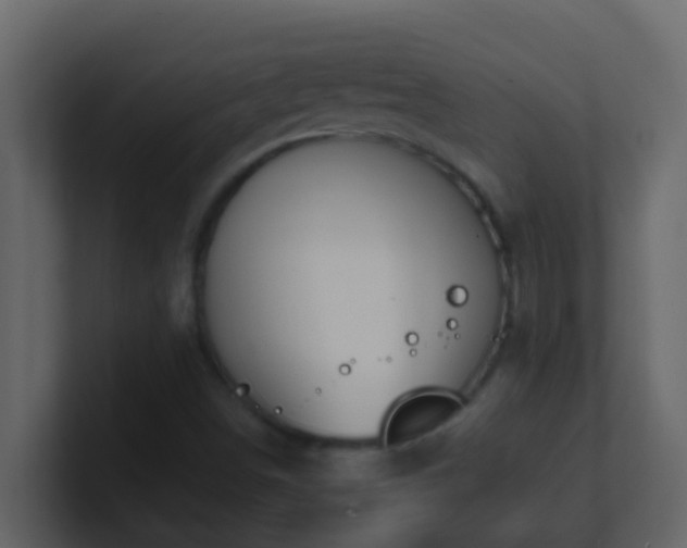 X0000101681498200807101410