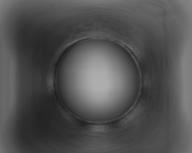 X0000101681499200807101410