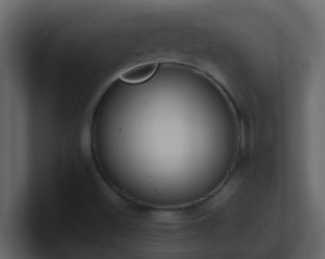 X0000101681500200807101410