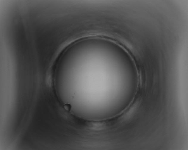 X0000101681501200807101410