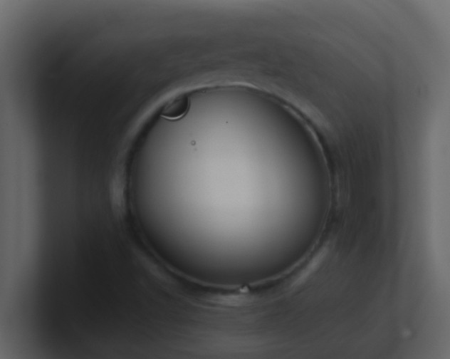 X0000101681502200807101410