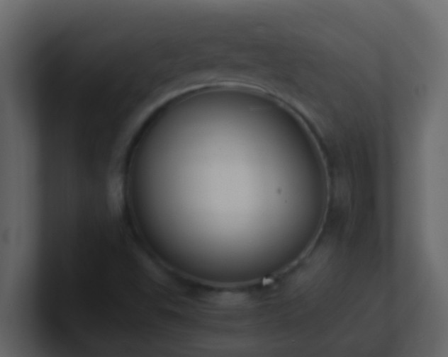 X0000101681503200807101410