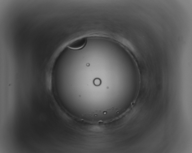 X0000101681504200807101410