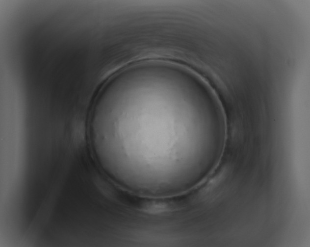 X0000101681505200807101410