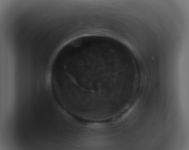 X0000101681506200807101410