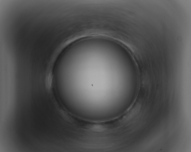 X0000101681507200807101410