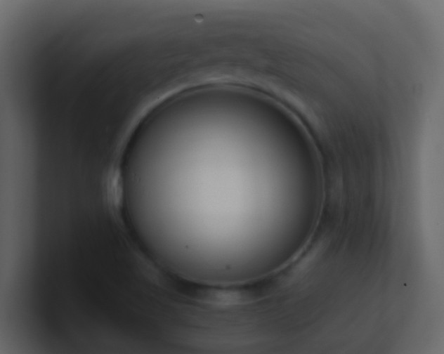 X0000101681509200807101410