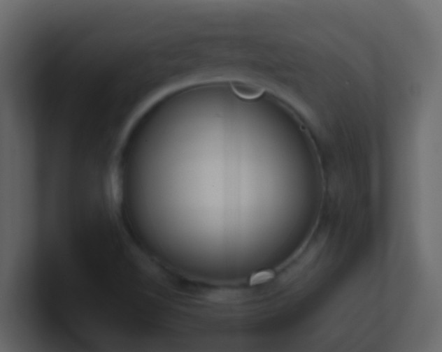 X0000101681510200807101410