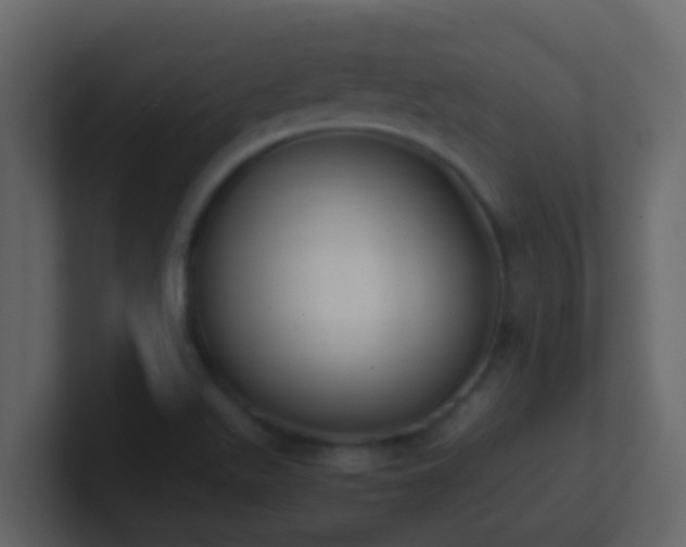 X0000101681511200807101410