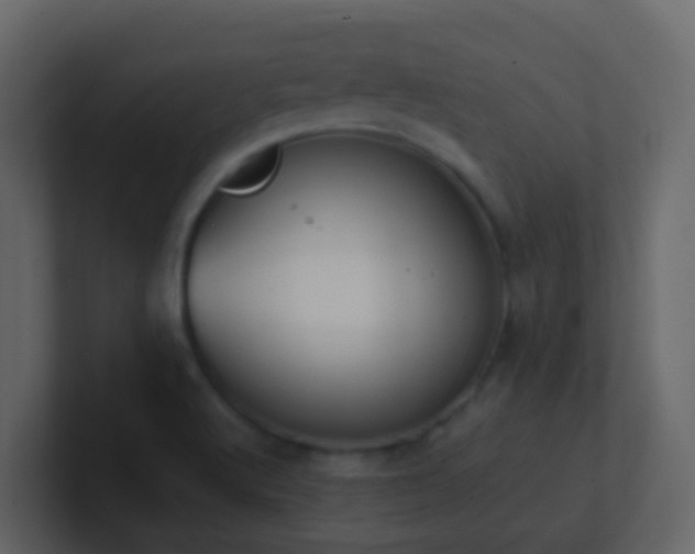 X0000101681512200807101410