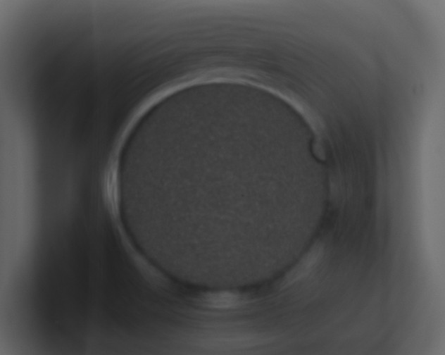 X0000101681515200807101410