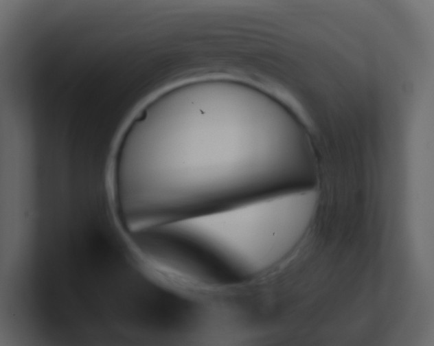 X0000101681516200807101410