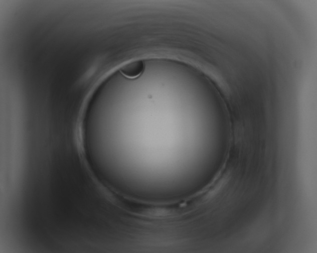 X0000101681517200807101410