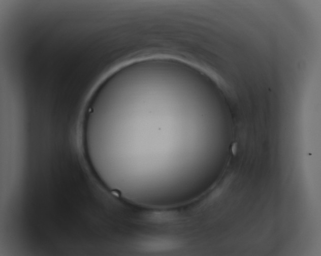 X0000101681518200807101411