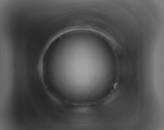 X0000101681519200807101411