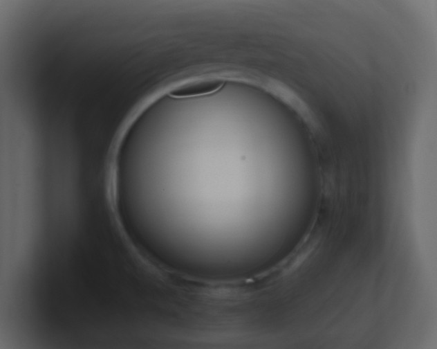 X0000101681520200807101411